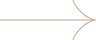 vector